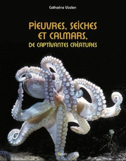Bertrand.pt - Pieuvres, Seiches Et Calmars ; De Captivantes Créatures