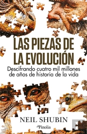 Piezas De La Evolucion,Las