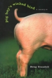 Pig Boy'S Wicked Bird
