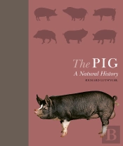 Pig
