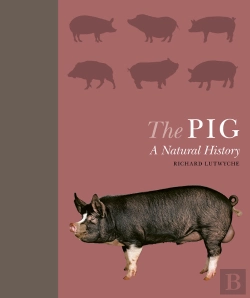 Bertrand.pt - Pig