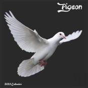 Pigeon 2022 Calendar