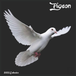 Bertrand.pt - Pigeon 2022 Calendar