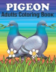 Pigeon Adults Coloring Book