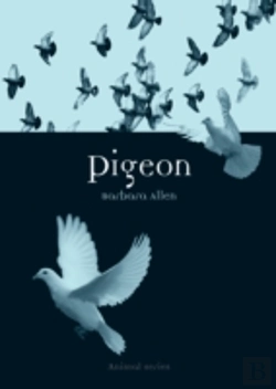 Bertrand.pt - Pigeon