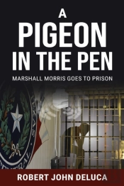 Pigeon In The Pen