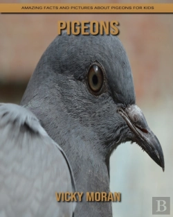 Bertrand.pt - Pigeons