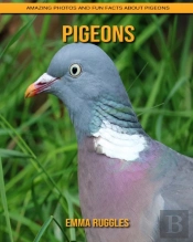 Pigeons