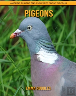 Bertrand.pt - Pigeons