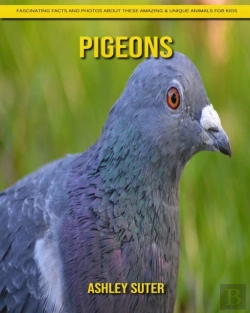 Bertrand.pt - Pigeons