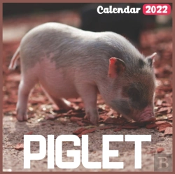 Bertrand.pt - Piglet Calendar 2022