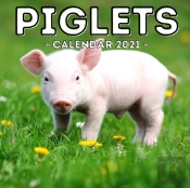 Piglets Calendar 2021