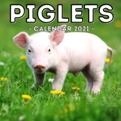 Bertrand.pt - Piglets Calendar 2021