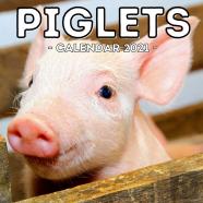 Piglets Calendar 2021