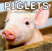 Piglets Calendar 2021