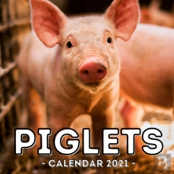 Bertrand.pt - Piglets Calendar 2021