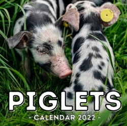 Bertrand.pt - Piglets Calendar 2022
