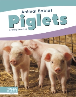 Bertrand.pt - Piglets