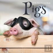 Pigs, A No Text Picture Book
