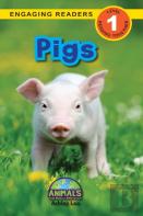 Pigs