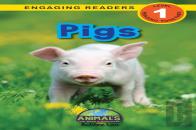 Pigs