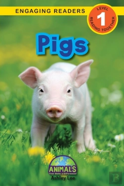 Bertrand.pt - Pigs