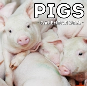 Pigs Calendar 2021
