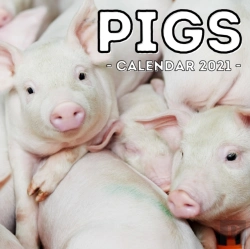 Bertrand.pt - Pigs Calendar 2021