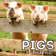 Pigs Calendar 2021
