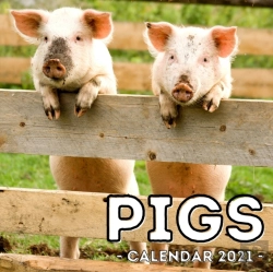 Bertrand.pt - Pigs Calendar 2021