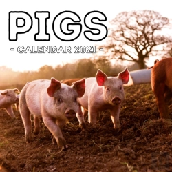 Bertrand.pt - Pigs Calendar 2021