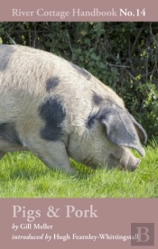 Pigs & Pork