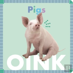 Bertrand.pt - Pigs Oink