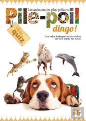 Pile-Poil Dingo !