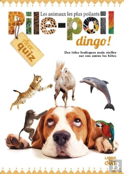 Bertrand.pt - Pile-Poil Dingo !