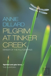 Pilgrim At Tinker Creek