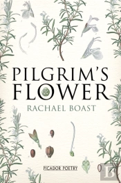 Pilgrim'S Flower