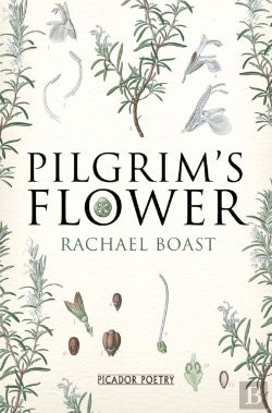 Bertrand.pt - Pilgrim'S Flower