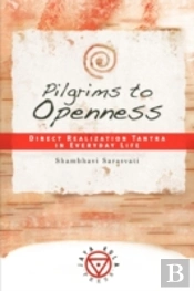Pilgrims To Openness: Direct Realization