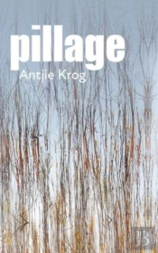 Pillage