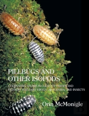 Pillbugs And Other Isopods