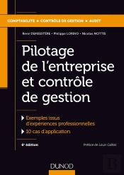Pilotage De L'Entreprise Et Contrôle De Gestion (6e Édition)