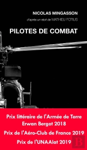Pilotes De Combat