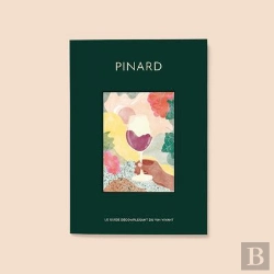 Bertrand.pt - Pinard : Le Guide Décomplexant Du Vin Vivant