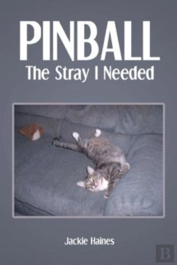 Bertrand.pt - Pinball