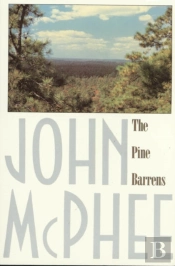 Pine Barrens
