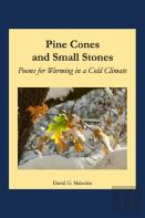 Pine Cones And Small Stones