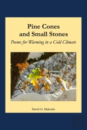 Pine Cones And Small Stones
