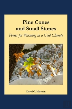 Bertrand.pt - Pine Cones And Small Stones