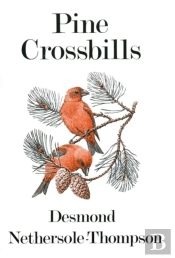 Pine Crossbills